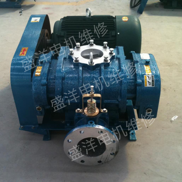 黄山罗茨风机维修 